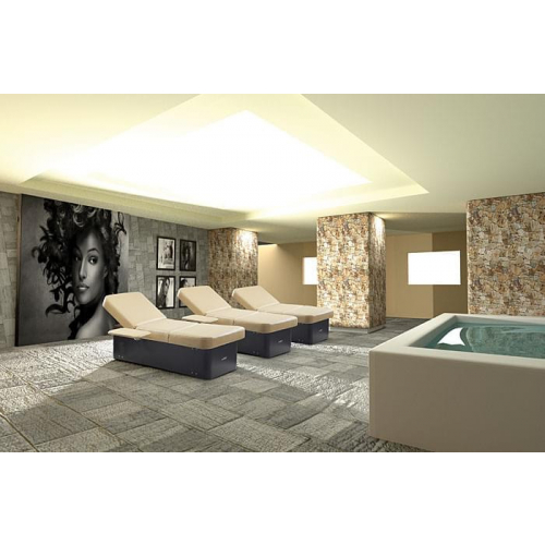 Шезлонг "RELAX SUITE"